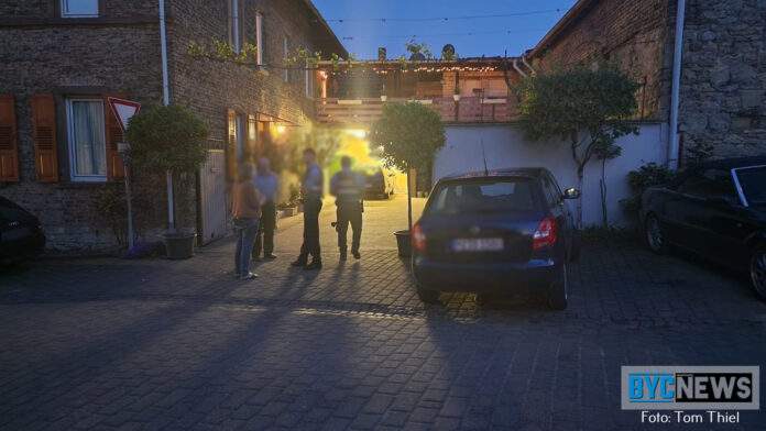 Pol1 1