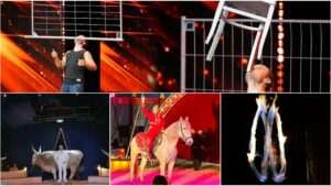 Spannung, spaß und tierische stars: der circus hallygally gastiert in saulheim Zirkus hallygally