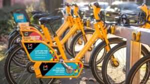 Großbrand im industriehafen in mainz-mombach – feuerwehr im großeinsatz Großbrand im industriehafen in mainz-mombach – feuerwehr im großeinsatz