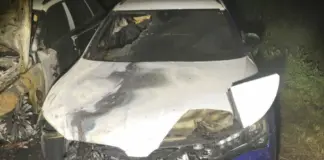 poMMes public.image 2022 05 03 04 33 39 2 e1651586654372