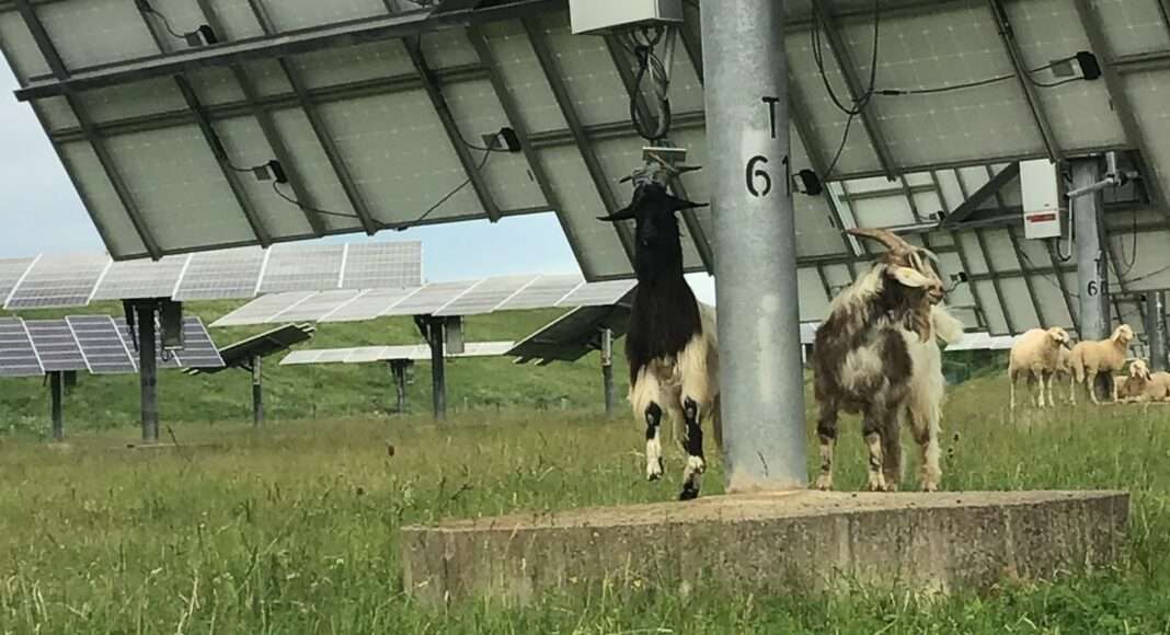 286166531 3075383779379019 4778754536383585423 n e1654507508297