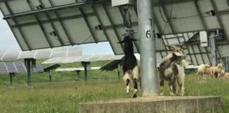 286166531 3075383779379019 4778754536383585423 n e1654507508297