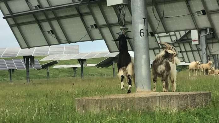 286166531 3075383779379019 4778754536383585423 n e1654507508297