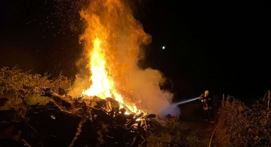 288002915 3174922812785366 7064486390458729540 n e1655123736967