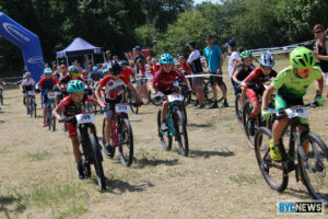 52176894336 b6b181a11a o