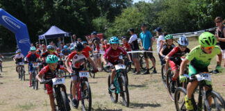 52176894336 b6b181a11a o