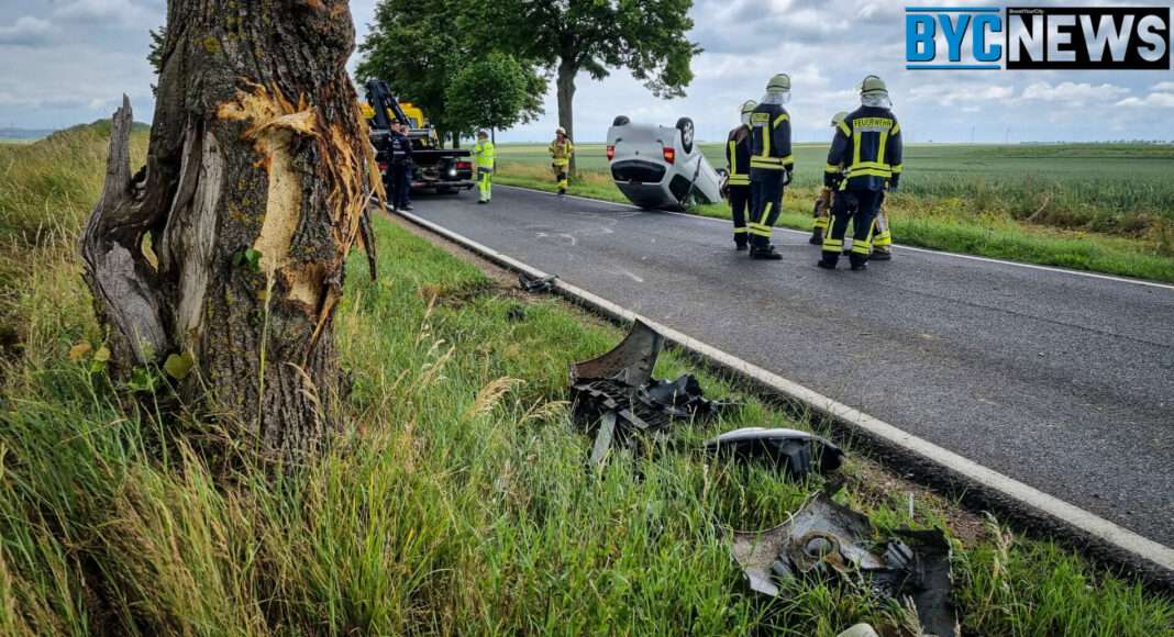 EBE44BCF 1F18 4409 B6B0 3F6DF133AB1D