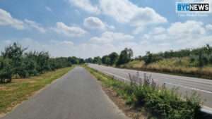 Obstdiebe in mainz-drais und finthen - polizei sucht nach zeugen Finthen1