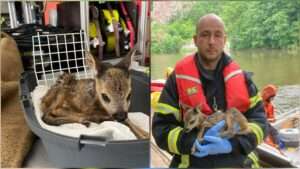 Feuerwehr rettet rehkids