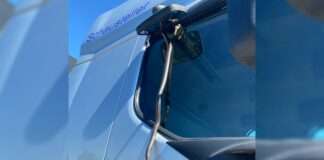 Schlange in Lkw eingeklemmt