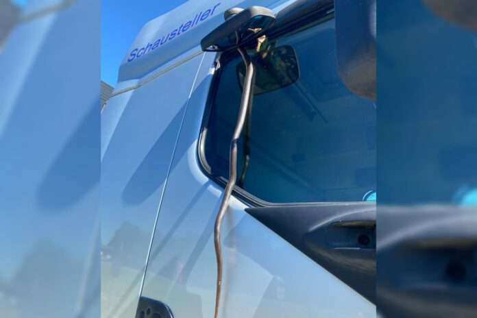 Schlange in Lkw eingeklemmt Schlange in Lkw eingeklemmt