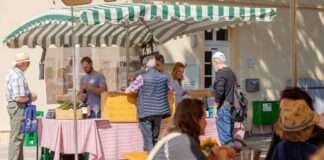 Wochenmarkt Mainz Mombach