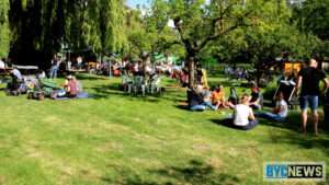 Stadt mörfelden-walldorf geht gegen ratten vor und bittet bürger um mithilfe