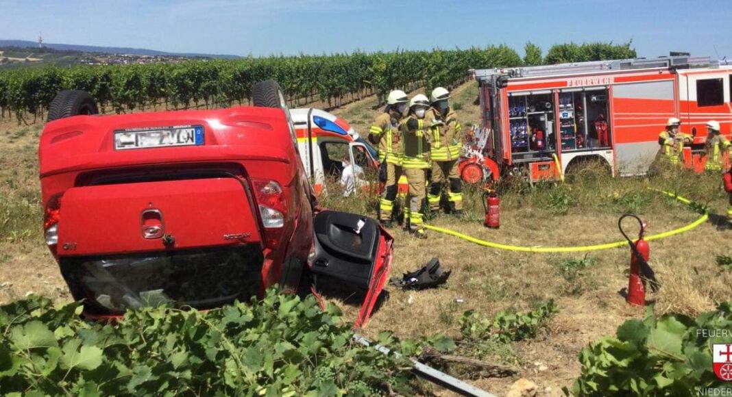 293420044 594707515551186 4567331781178014216 n e1658140579829