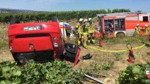 293420044 594707515551186 4567331781178014216 n e1658140579829