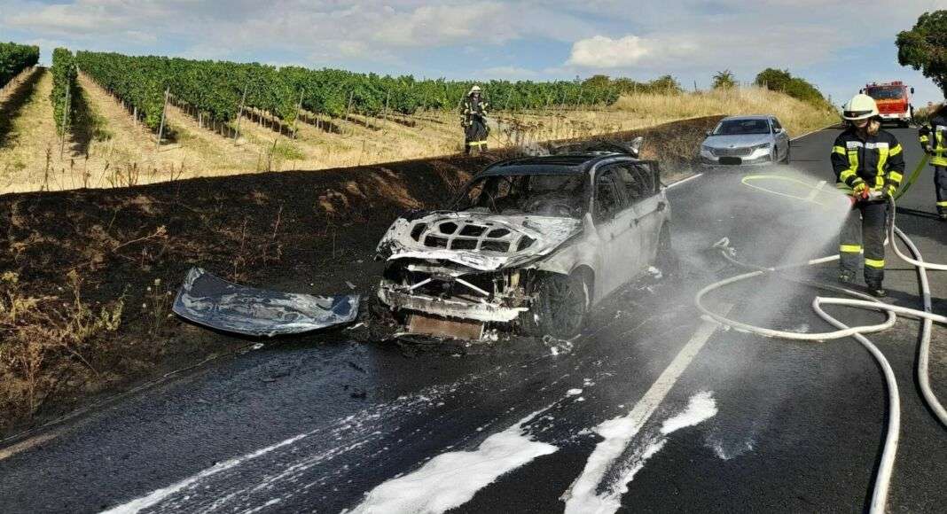 295621361 5697598383605720 2448642036630309296 n e1659276883847