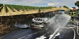 295621361 5697598383605720 2448642036630309296 n e1659276883847