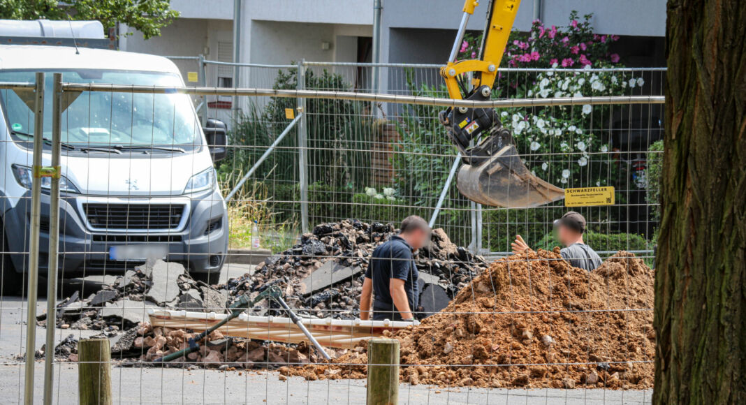 A5DC25DB 2E3A 42E2 A21C 0F4440CF9423