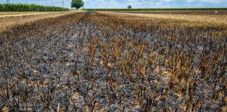 D0390F4A 6804 4C17 B855 75378D448E4F