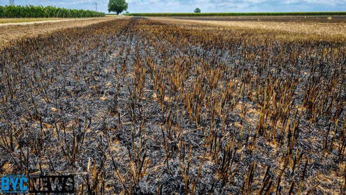 D0390F4A 6804 4C17 B855 75378D448E4F D0390F4A 6804 4C17 B855 75378D448E4F