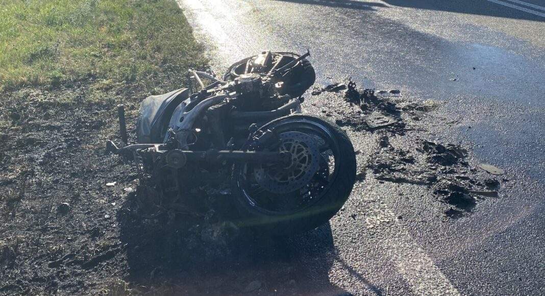 IMG 1001 e1657653296128