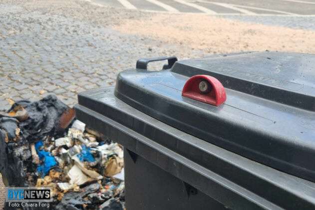 Muelltonne1 2 e1658866087761