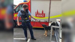 Das oppenheimer weinfest im august 2022 Das oppenheimer weinfest im august 2022