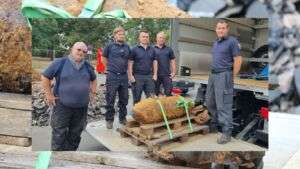 Voip statt isdn – diese optionen stehen firmen offen