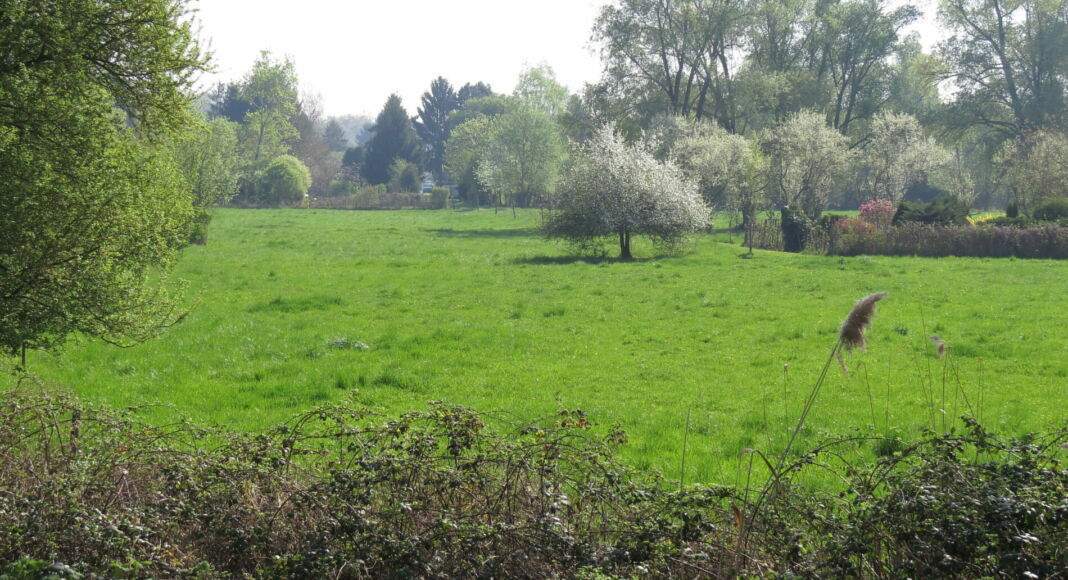 WiesenKreuzerhof 17 04 09 IMG 4495 e1658215190689