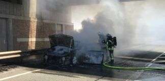 297295133 3116877368562993 7975384013705004392 n e1659448811475