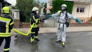 Galloway-rinder beweiden neue fläche in riedstadt Galloway-rinder beweiden neue fläche in riedstadt 1