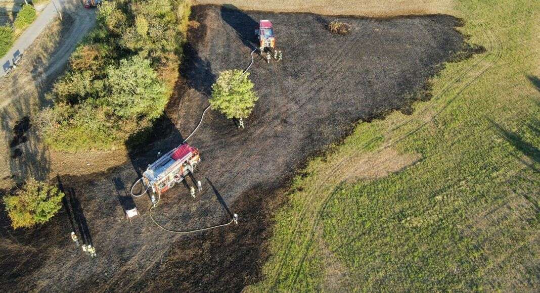 298162429 1907880036064514 2962764746741691849 n e1659936367397