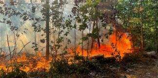 298496024 5345803778831578 7203292106225978530 n e1659981311124