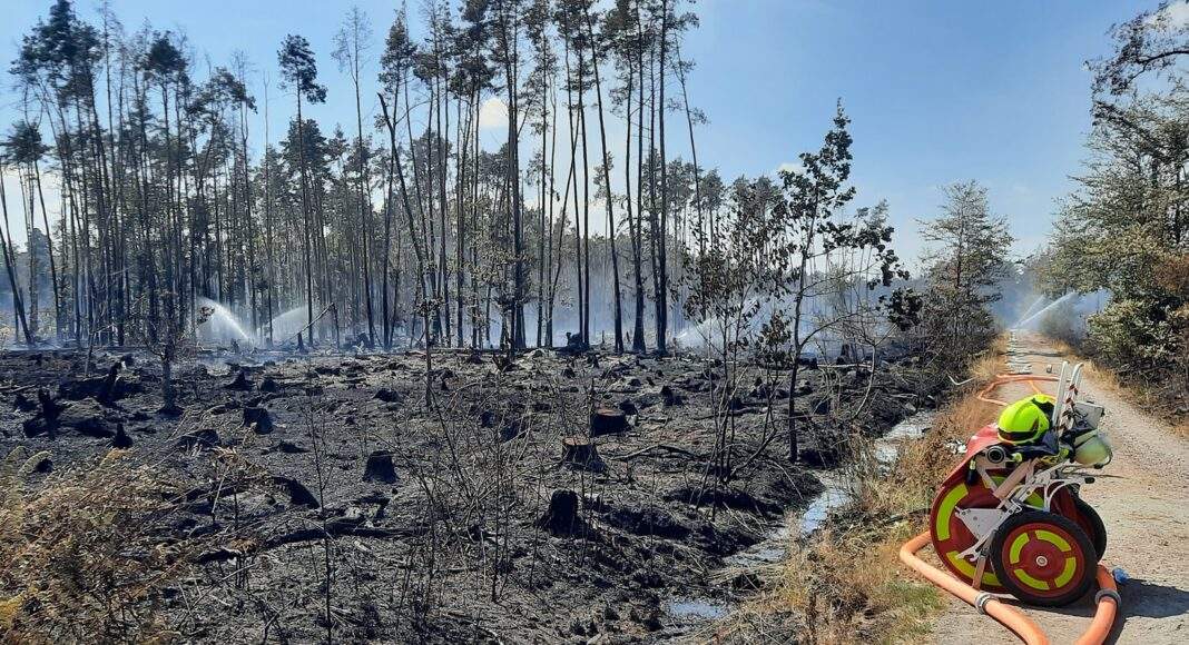 298574724 2576670722464252 2421772843286237259 n e1660663179720