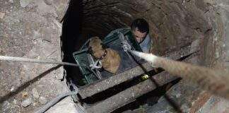 298624672 433179405423193 8205797232128328548 n e1660202858889