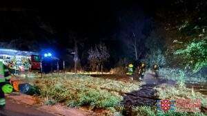 301579858 5739828296036811 2211927811139507938 n e1661791246655