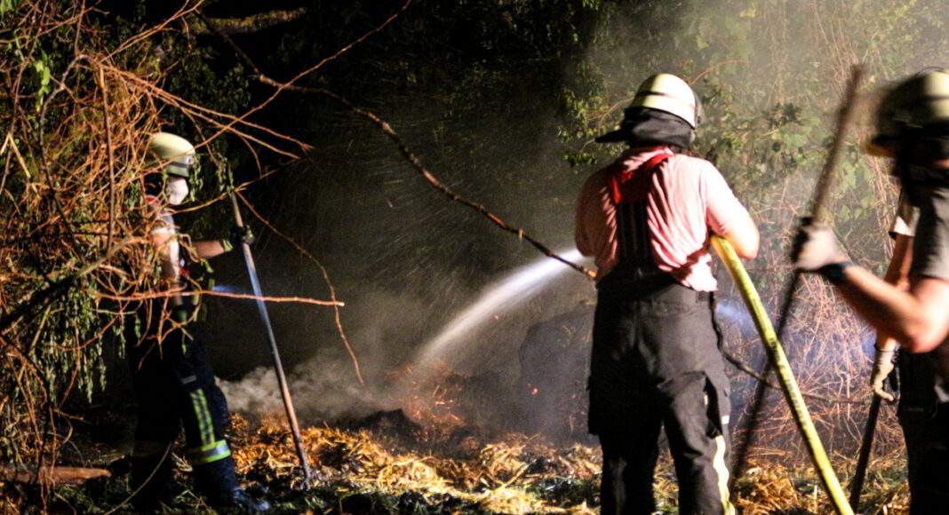 BA1A2169 B396 4949 BF65 1758840BC492 scaled