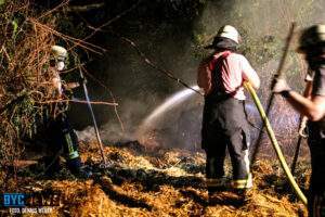 Ba1a2169 b396 4949 bf65 1758840bc492 scaled