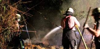 BA1A2169 B396 4949 BF65 1758840BC492 scaled