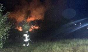 Flächenbrand durch weggeworfene zigarette an der südlichen weinstraße Brand e1661508151595