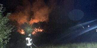 Brand e1661508151595