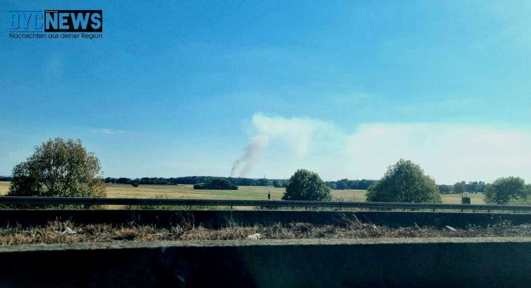 Brand1 e1660408303491