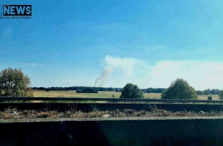 Brand1 e1660408303491