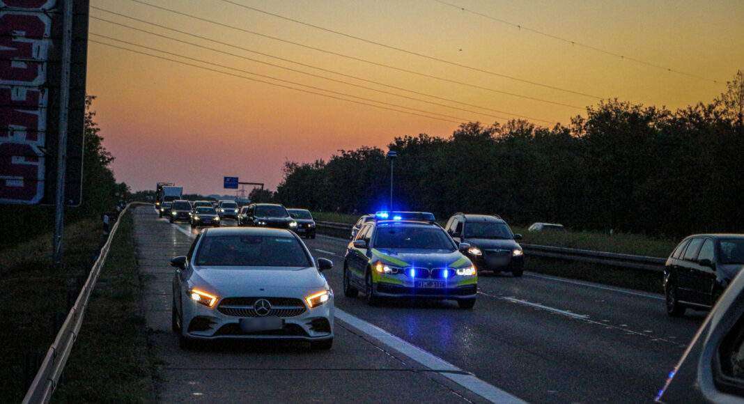 D3D31835 5EC8 4DF7 9347 44C43DA3977F scaled