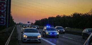 D3D31835 5EC8 4DF7 9347 44C43DA3977F scaled