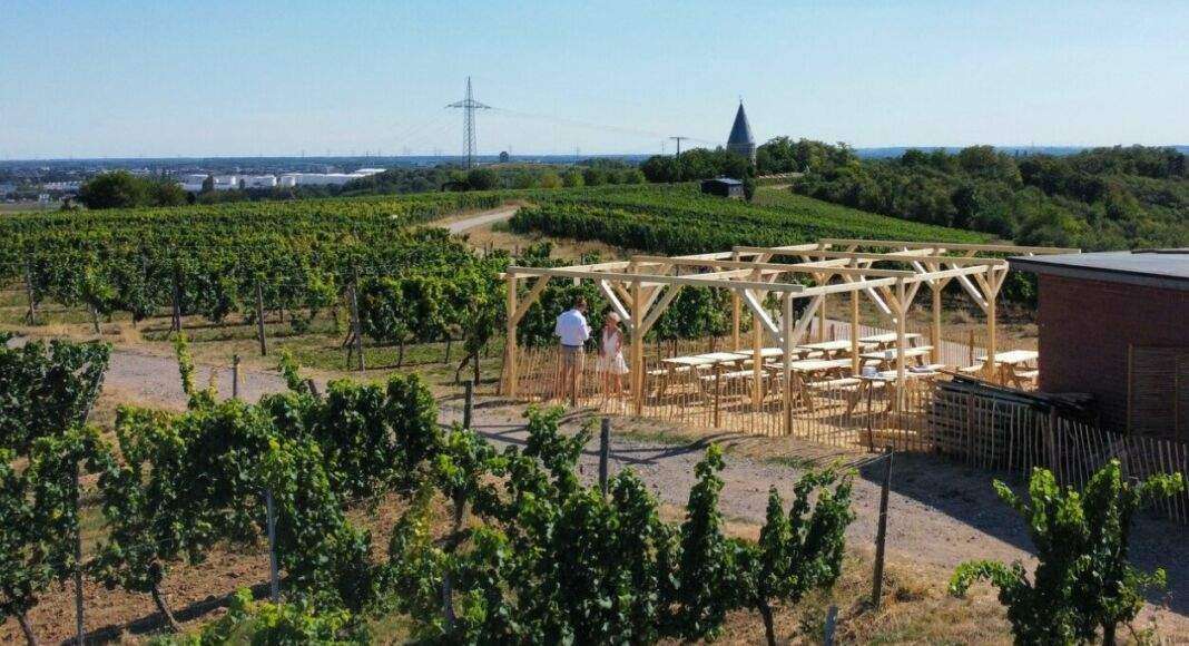 Dreispitz 4 e1660044906280