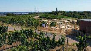 Deutsche weinmajestäten im wasem kloster engelthal in ingelheim