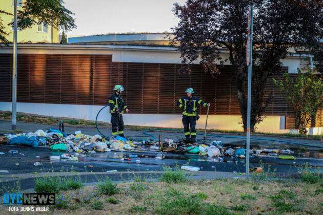 E95CDCF6 2E49 4ED1 B6E4 6C4DB7C72FD3