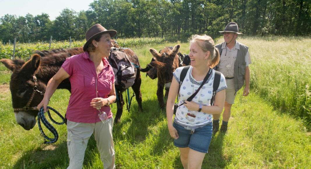 Eselwanderung kommunikativ Foto Rheinhessen Touristik