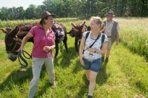 Eselwanderung kommunikativ foto rheinhessen touristik